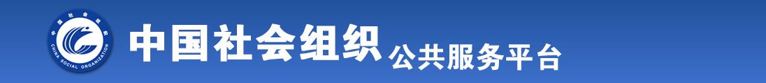 男人j插女人p网站全国社会组织信息查询